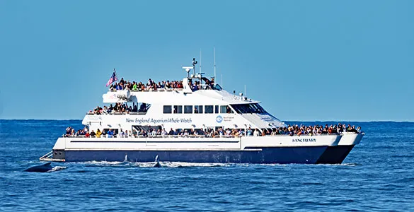 best-first-time-cruise-destination-as-picked-by-a-cruise-expert-mid-content-8